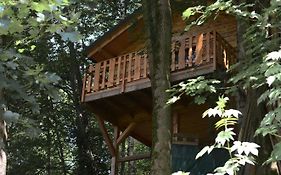 Treehouse Velké Losiny